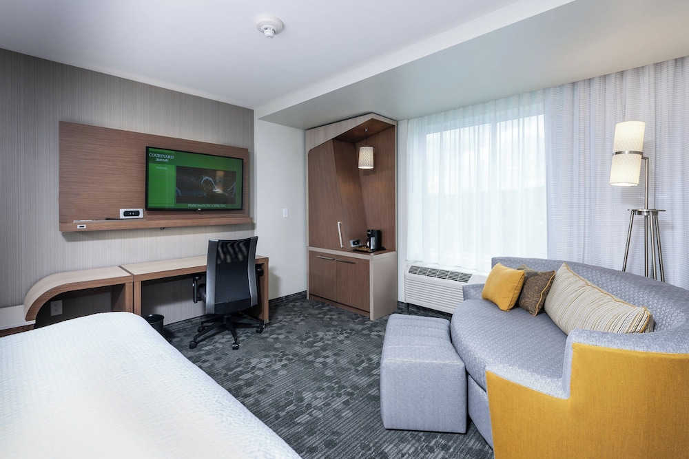 Room, 1 King Bed with Sofa bed (Hearing Accessible)