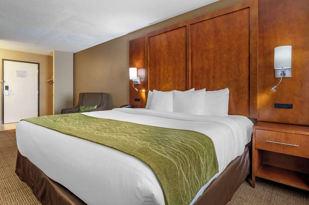 Room, 1 King Bed, Non Smoking - Photo 1