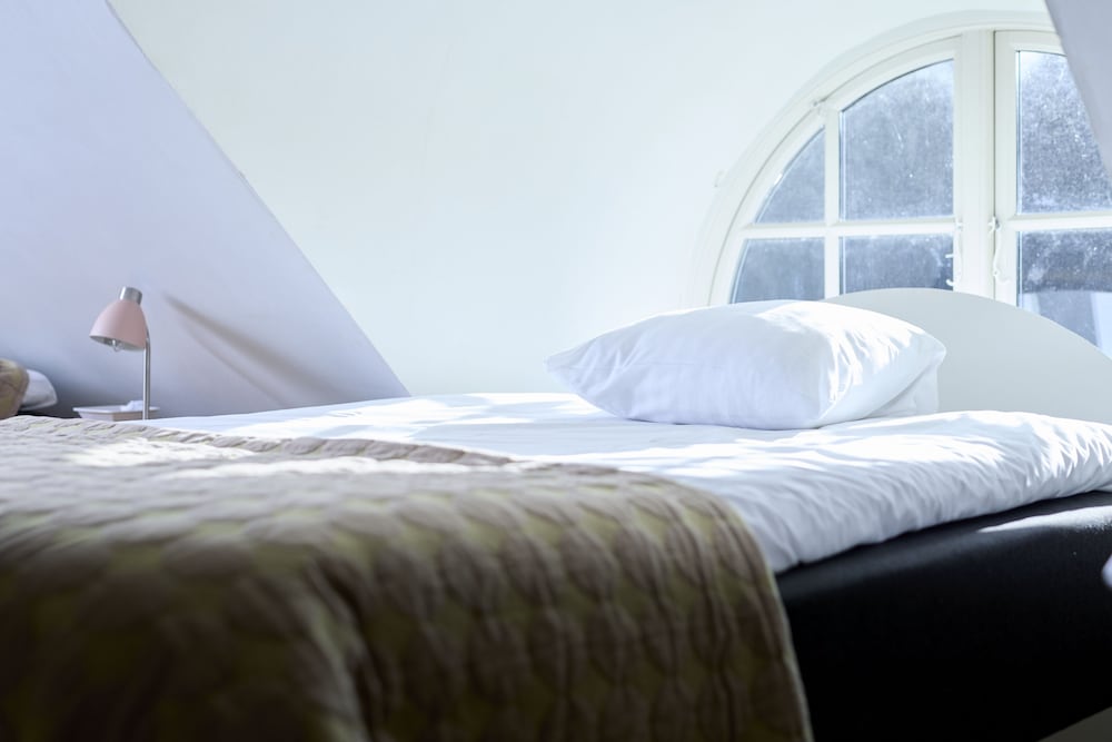 Family Studio, Multiple Beds photo 2