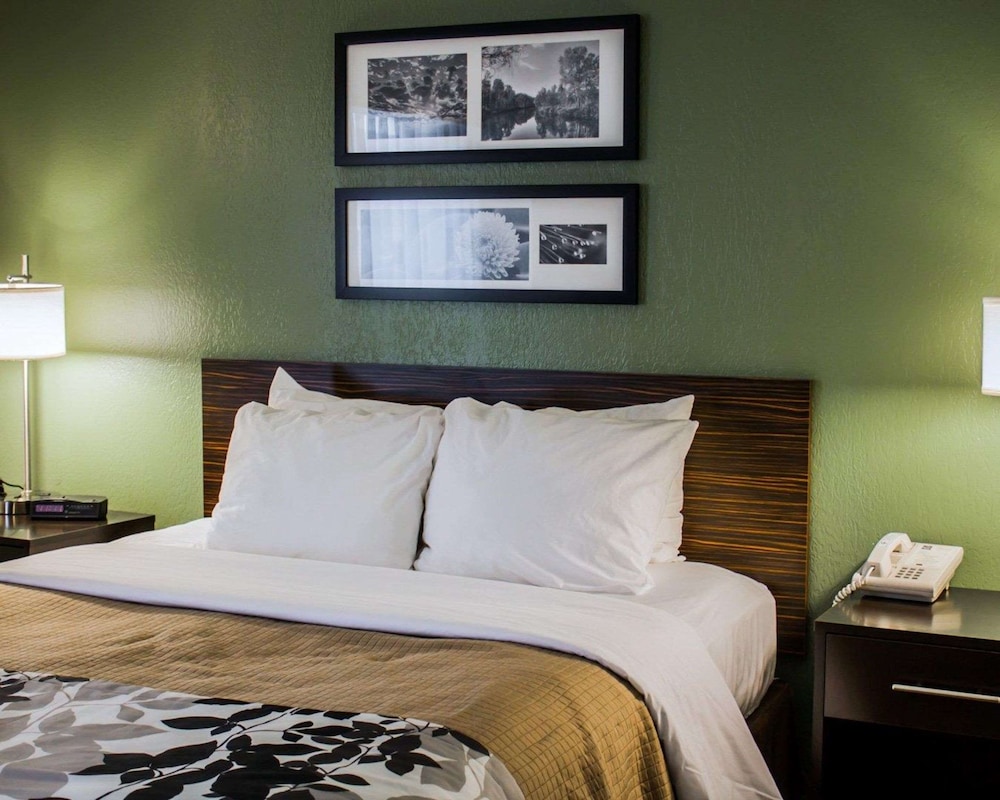 Standard Room, 1 Queen Bed, Accessible, Non Smoking - Photo 3