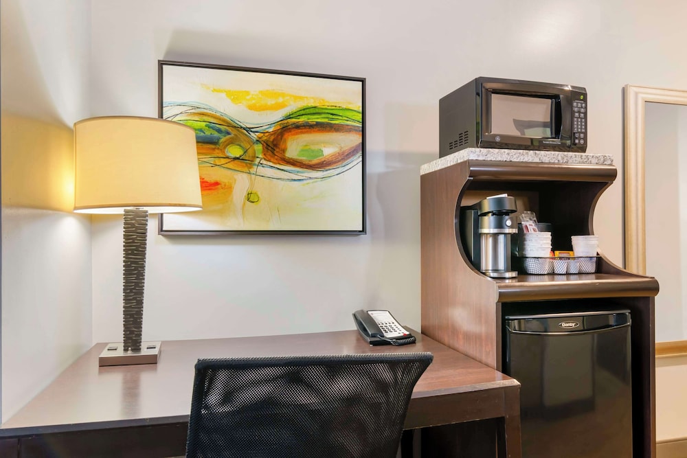 Standard Room, 1 King Bed, Non Smoking, Refrigerator & Microwave (with Sofabed) - Photo 2