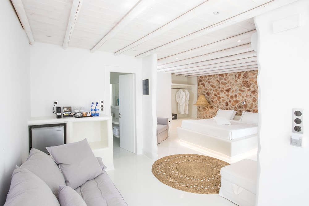 Premium Suite - Photo 12