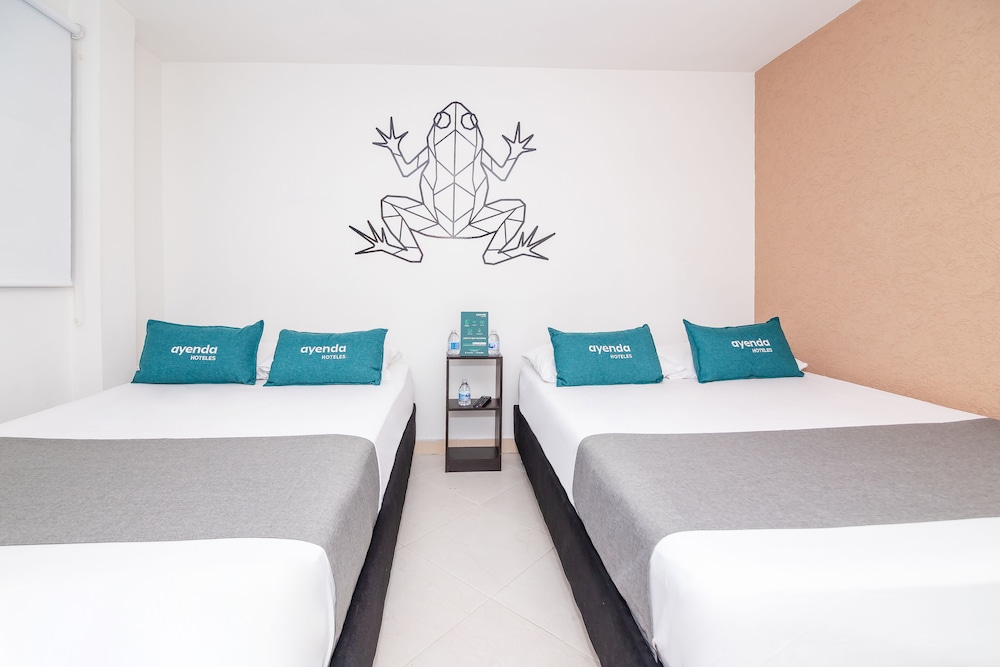 Economy Twin Room photo 3