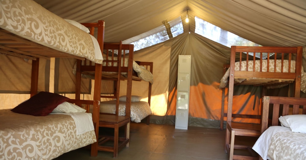 Shared Dormitory photo 1