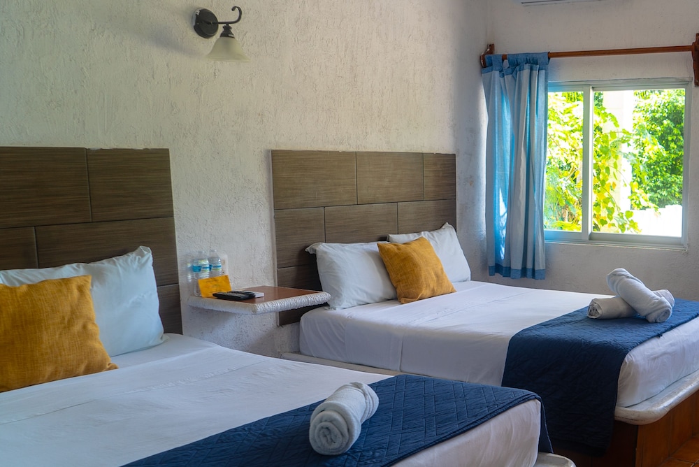 Habitación Confort