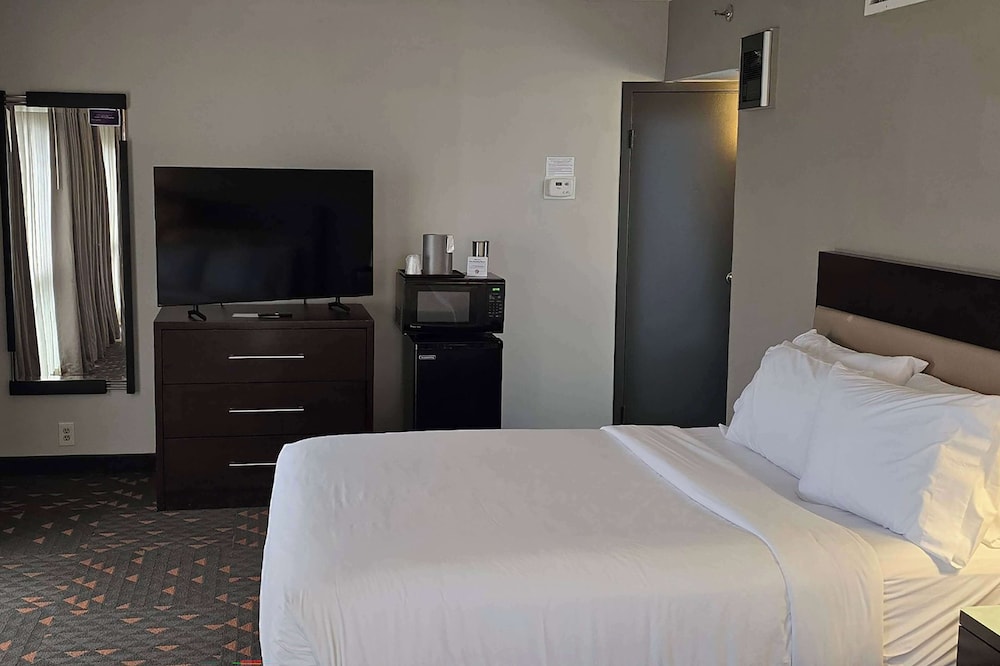 Room, 1 King Bed, Non Smoking