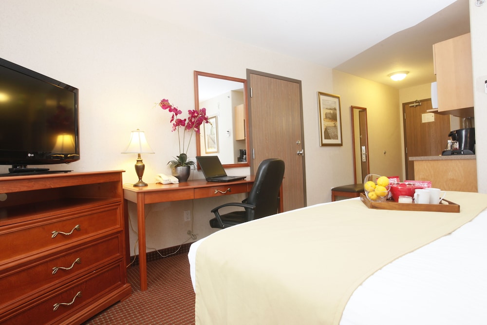 Comfort Room, 1 King Bed, Accessible photo 3