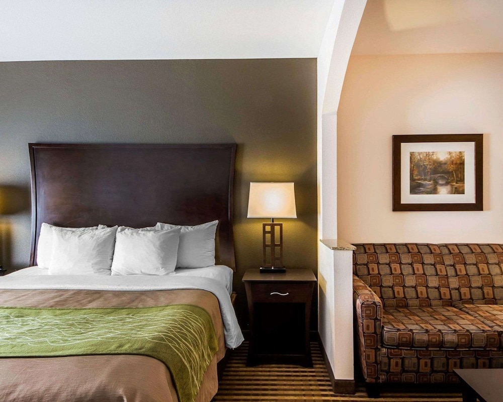 Suite, 1 King Bed, Non Smoking photo 3