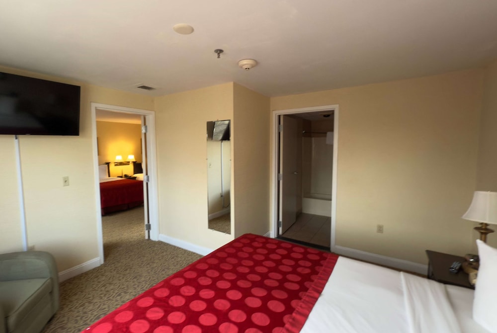 Suite, Multiple Beds, Non Smoking - Photo 5