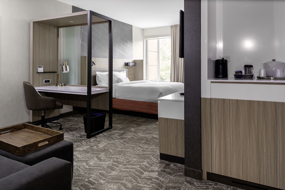 Suite, 1 King Bed - Photo 1
