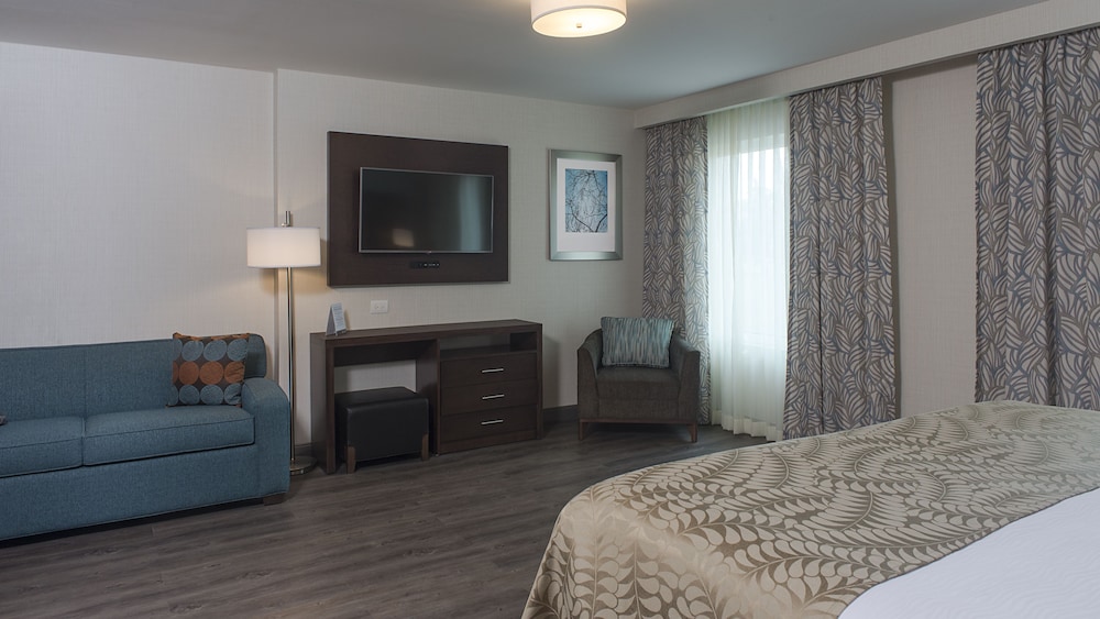 Studio Suite, Mobility Accessible, Kitchen photo 2