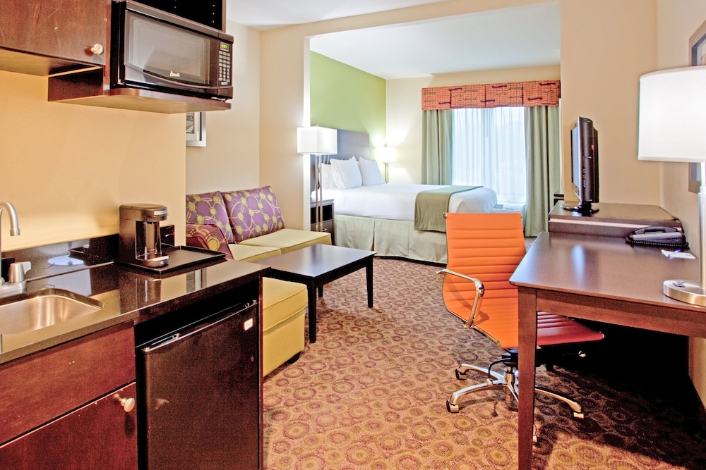 Suite, 1 King Bed - Photo 1