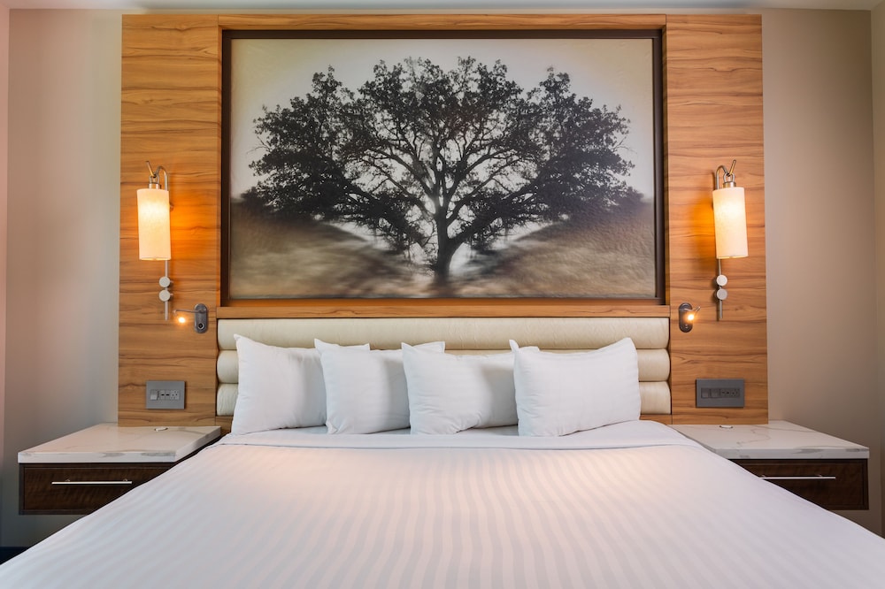 Signature Room, 1 King Bed (21 Or Older Only) - Mountain View