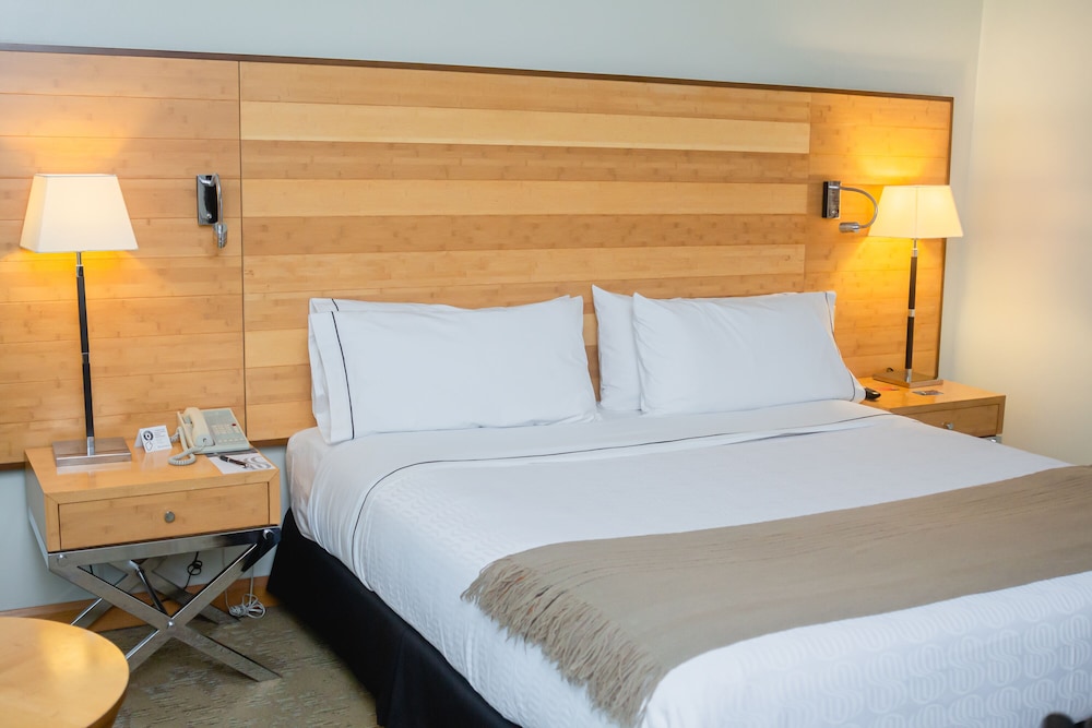 Junior Suite King - Photo 8