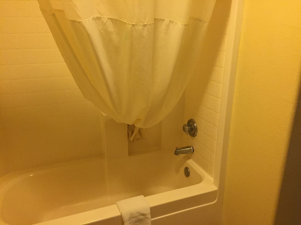 Studio Suite, Multiple Beds, Non Smoking photo 3