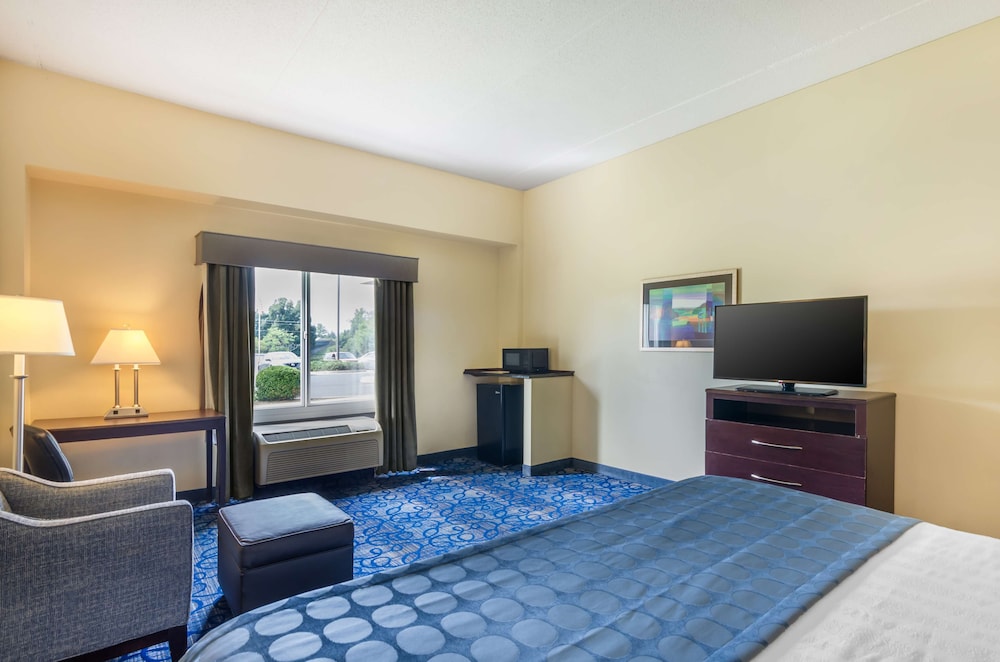 Standard Room, 1 King Bed, Accessible, Non Smoking - Photo 4