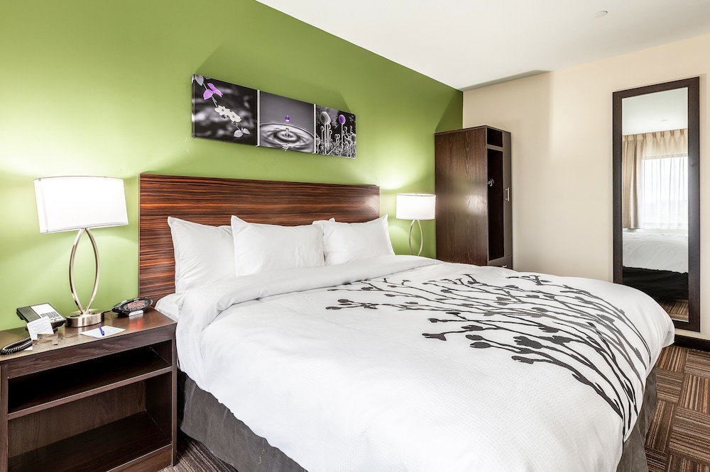 Standard Room, 1 King Bed, Non Smoking photo 2