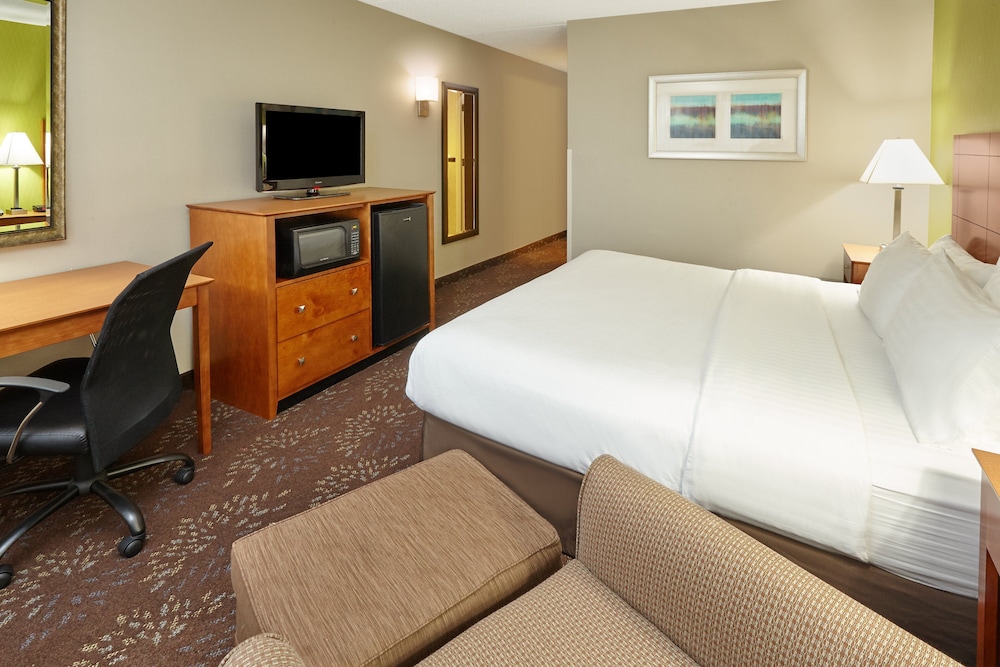 Standard Room, 1 King Bed, Accessible (Communications)