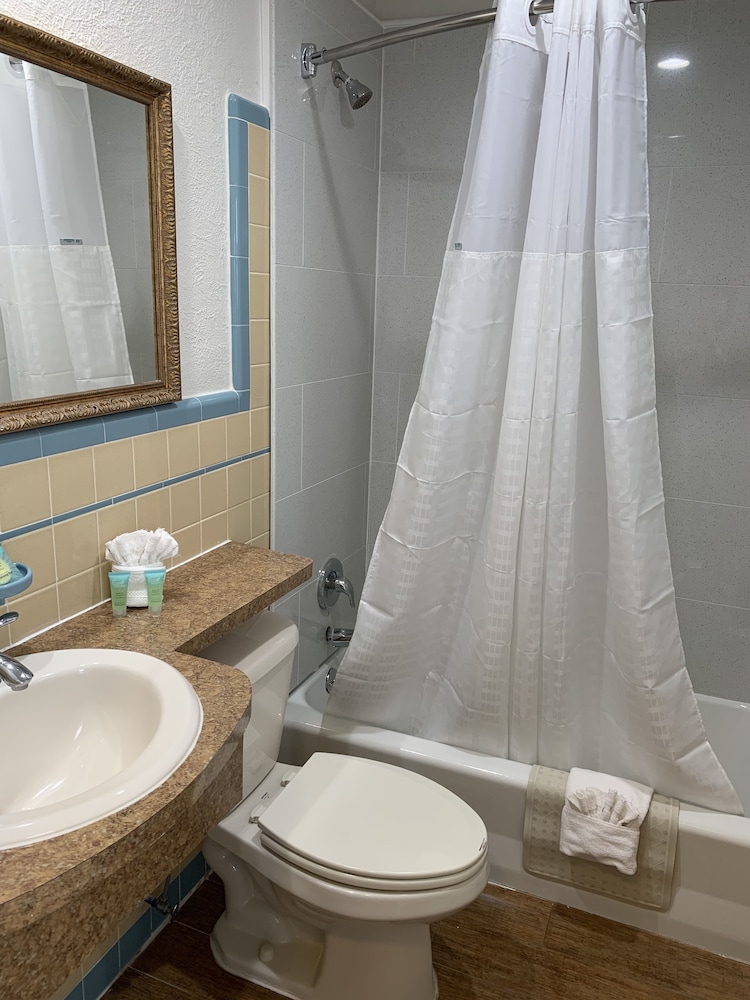 Double Room, 2 Double Beds, Kitchenette photo 2
