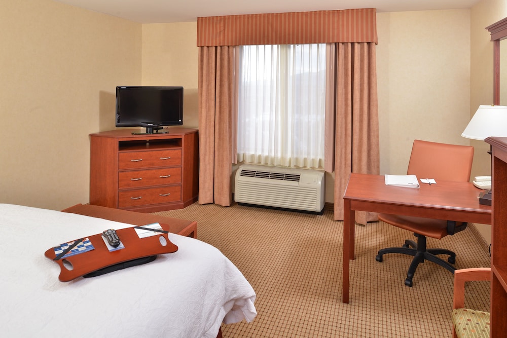 Room, 1 King Bed, Accessible (Mobility & Hearing, Roll-in Shower) - Photo 2