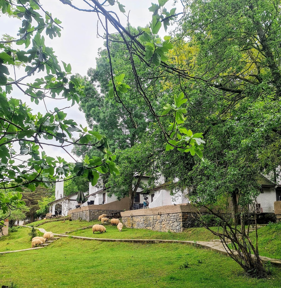 Traditional Cottage - Photo 20