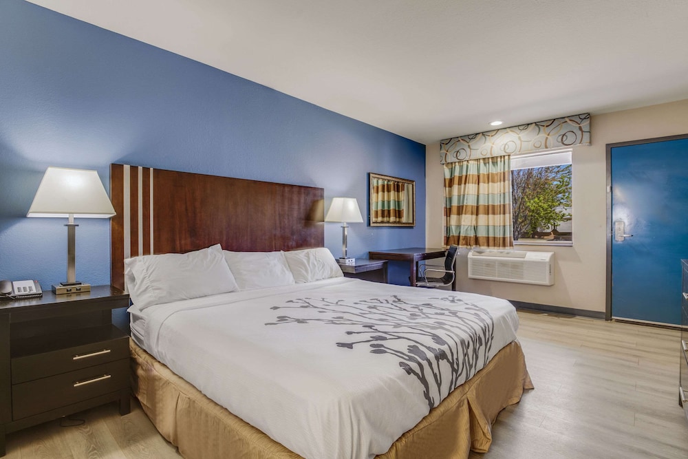 Standard Room, 1 King Bed, Smoking - Photo 1