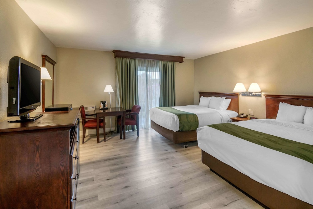 Suite, 2 Queen Beds, Non Smoking ( Efficiency) - Photo 4
