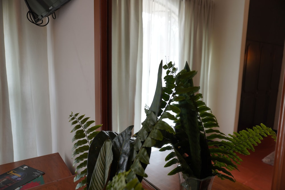 Standard Room - Photo 2