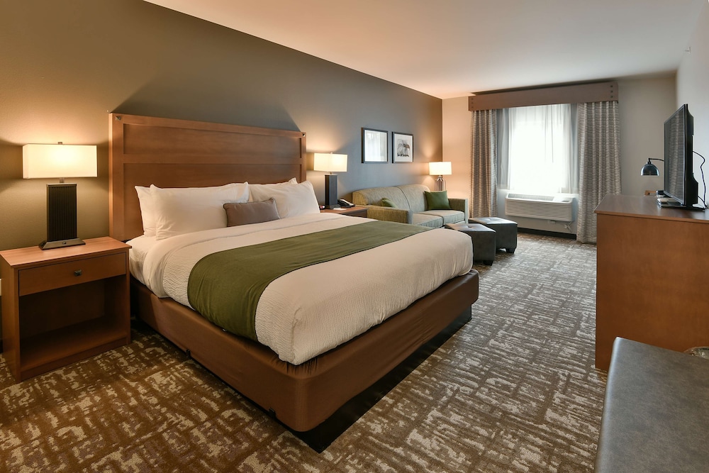 Deluxe Room, 1 King Bed with Sofa bed (Single King Deluxe)