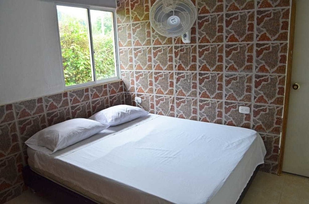 Basic Room, Mountain View