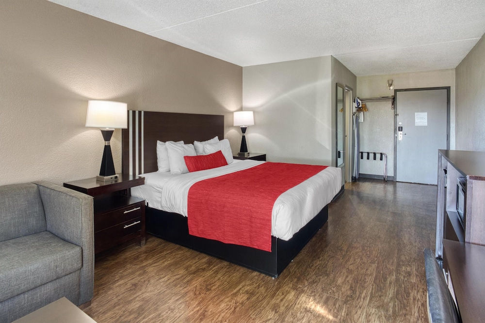 Standard Room, 1 King Bed, Non Smoking, Refrigerator & Microwave
