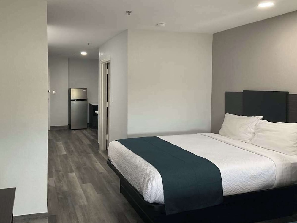 Standard Suite, 1 King Bed, Non Smoking, Kitchenette - Photo 7