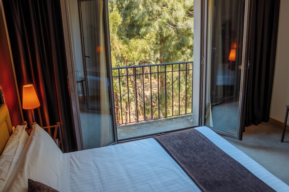 Classic Double or Twin Room, Balcony - Photo 4