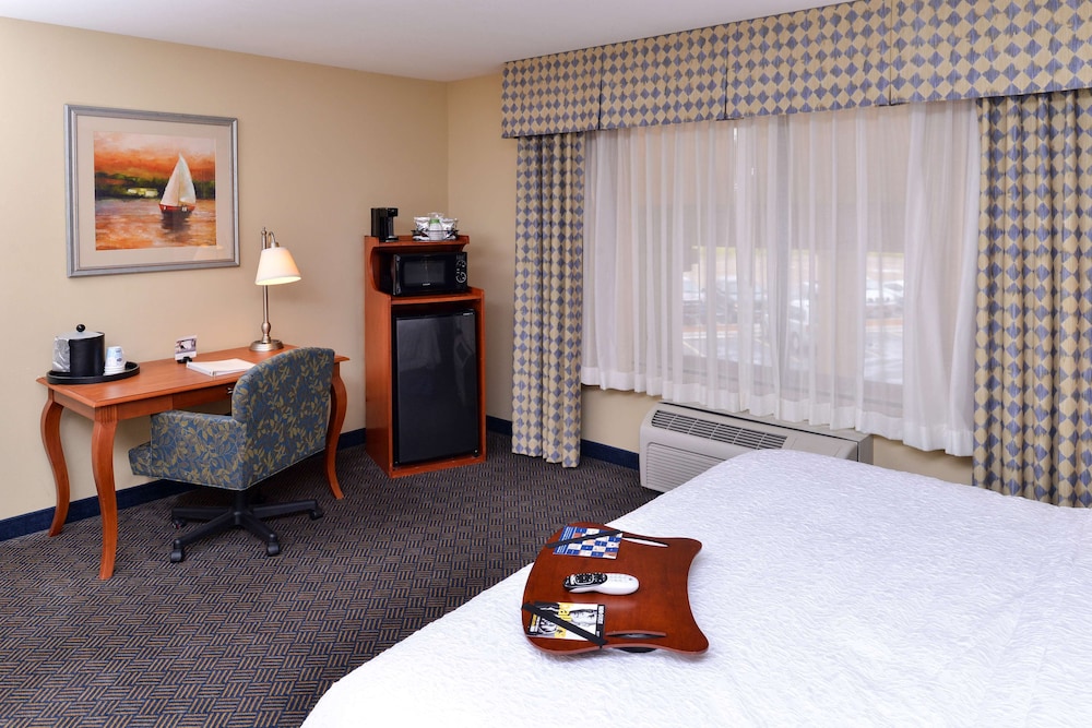 Room, 1 King Bed, Refrigerator - Photo 2