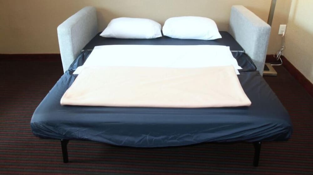 Deluxe Studio Suite, Multiple Beds, Non Smoking photo 3