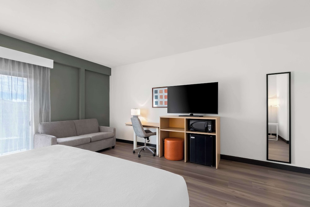 Room, 1 King Bed with Sofa bed (Larger) - Photo 6