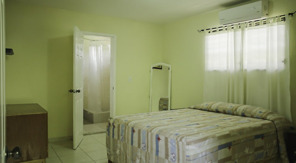 Studio, 1 King Bed photo 3