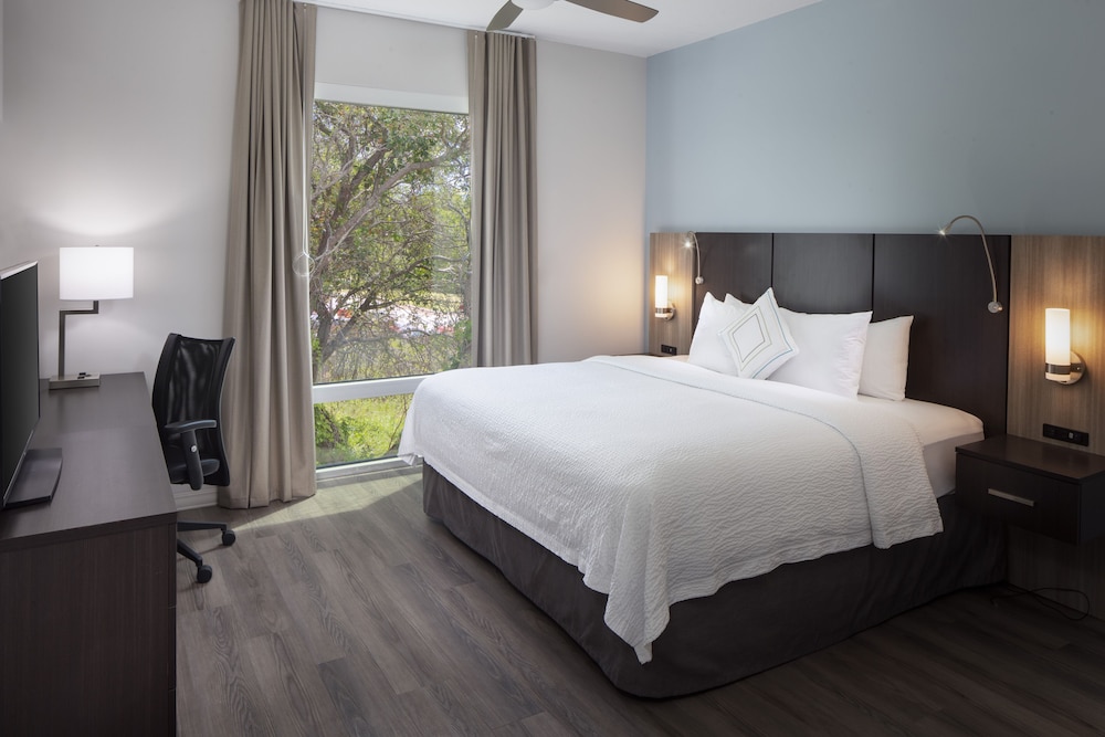 Comfort Suite, 1 King Bed with Sofa bed photo 1