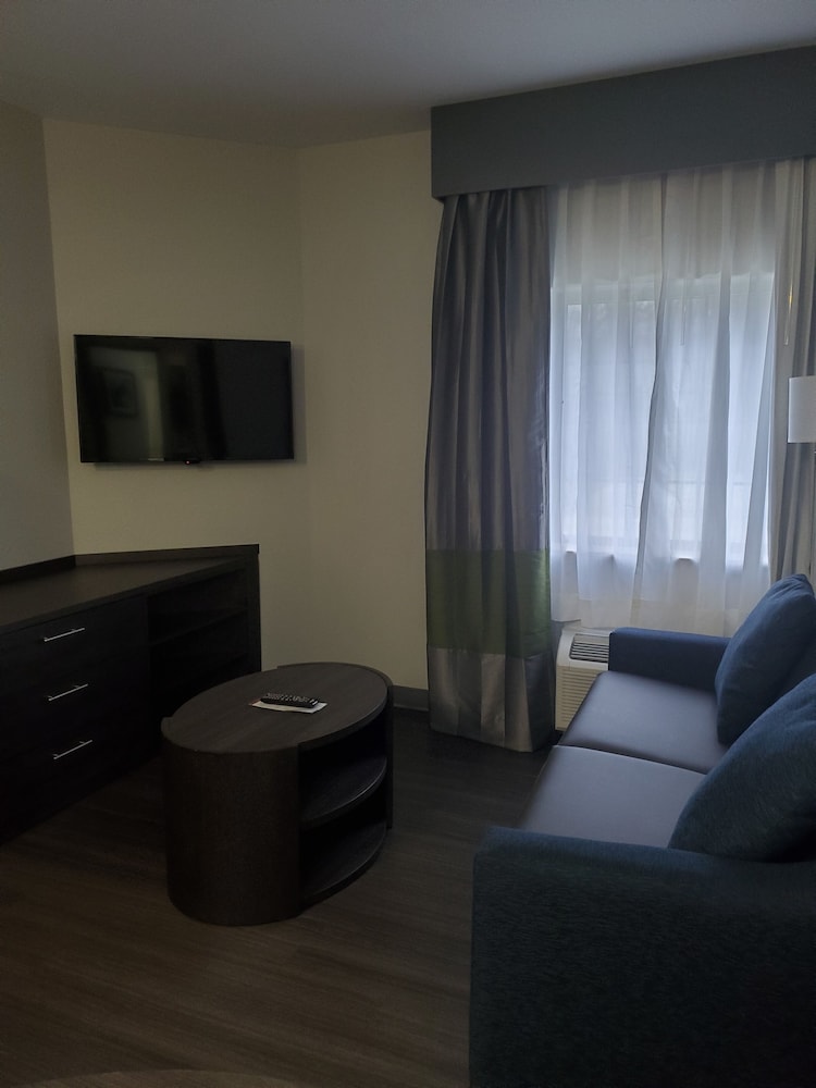 Suite, 1 Bedroom (Living Area) - Photo 2