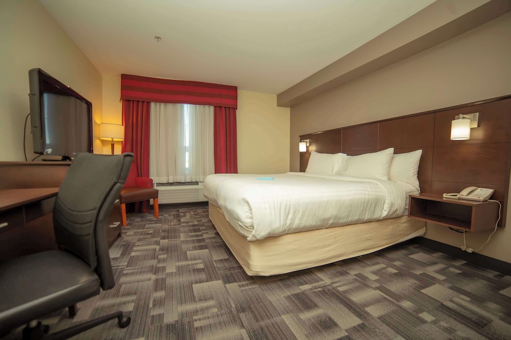 Standard Room, 1 King Bed, Non Smoking