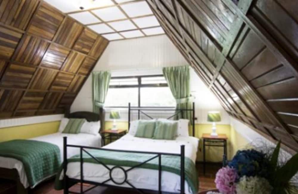 Triple Room photo 1