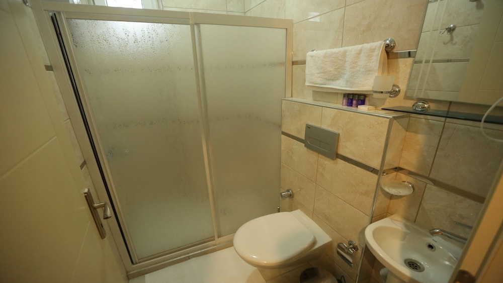 Deluxe Double or Twin Room photo 2