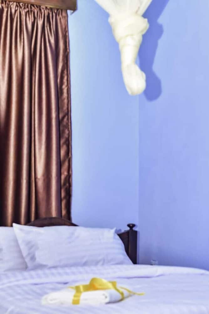 Deluxe Single Room photo 3