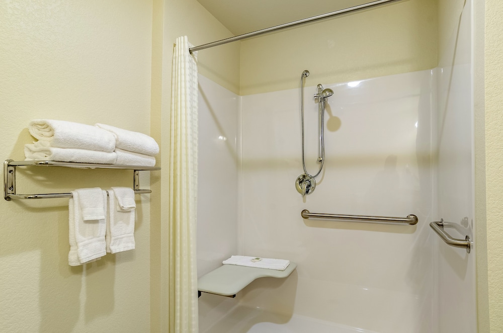Suite, 1 King Bed with Sofa Bed, Accessible Roll In Shower & Audible/Visual Adapted, Non Smoking