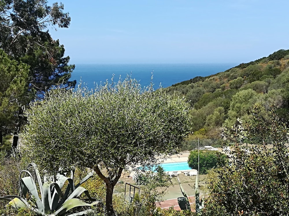 Cottage, Terrace photo 1