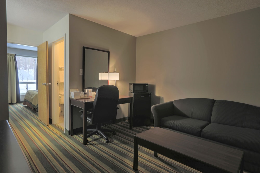 Standard Suite, 1 Queen Bed with Sofa bed, Non Smoking