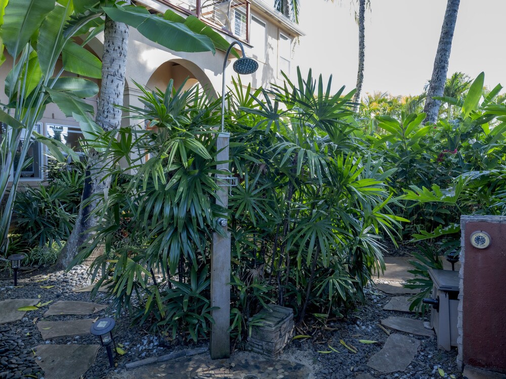 Beach Cottage, 2 King Beds, Full Kitchen, Private Bathroom, Ocean View, Non Smoking photo 3