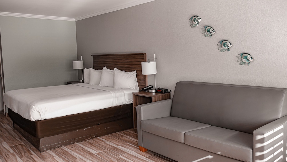 Standard Room, 1 King Bed with Sofa bed photo 3