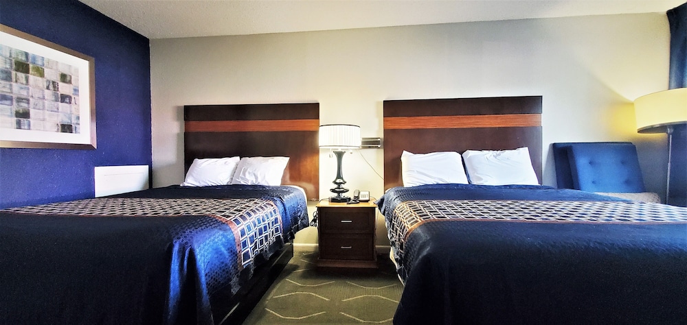 Studio Suite, 2 Double Beds, Kitchenette photo 3