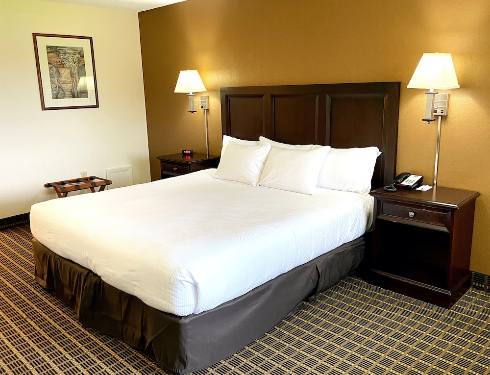 Single Room, 1 King Bed - Photo 2